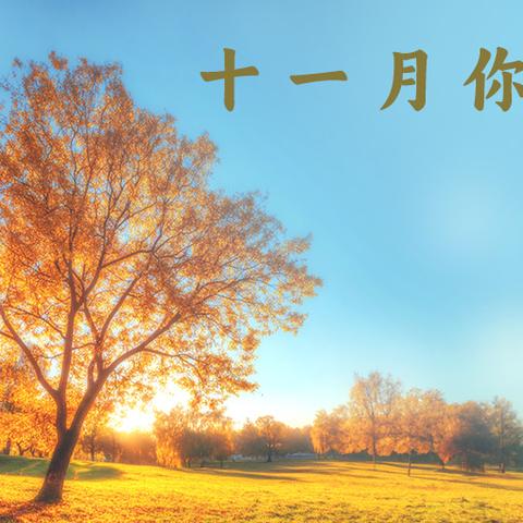 小博士幼儿园小班一周小记