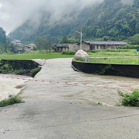 汛情如令，责任如山，筑牢护民防洪墙，新州干群在行动。