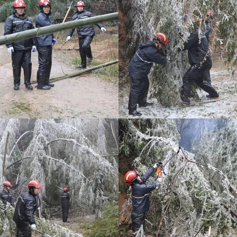 不畏冰灾险，南城森林消防勇担当