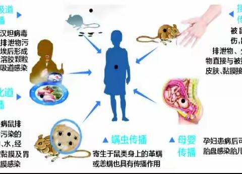 注意啦！疾控专家解读肾综合征出血热，每年10月至次年1月是发病高峰