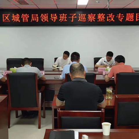 汉阳区城市管理执法局党委召开政治巡察整改专题民主生活会