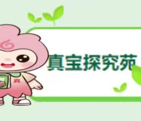 【童耕课程.跟着真宝来研学】 谷雨润万物，根深茎叶长﻿ ——﻿石城六小真宝来探秘