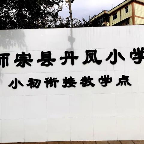 踔厉奋发 勇毅前行