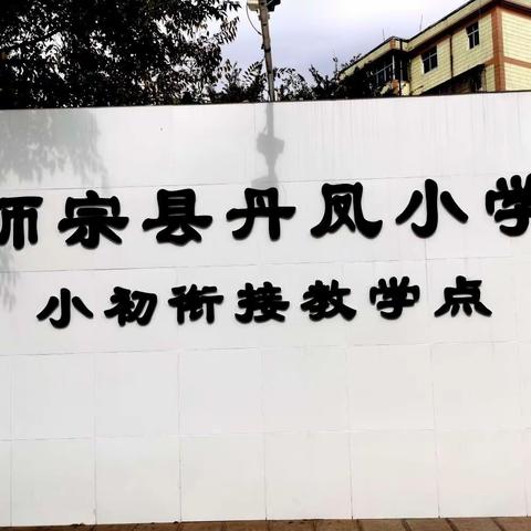 乘势笃行  磨砺聚变——师宗县丹凤小学小初衔接教学点第四周动态