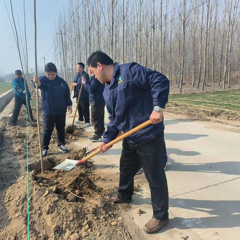 植树添新绿，护绿正当时
