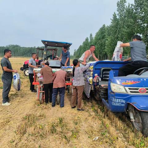 支部领办合作社┃榆山街道翟庄村：播下“玉”种子，种出“金”希望