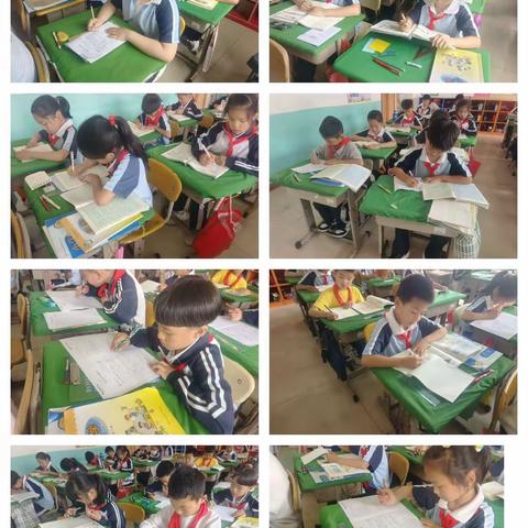 心向阳光    快乐成长 ——琅小303成长足迹