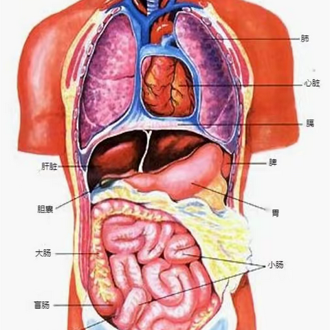 儿童腹痛的常见原因及处理方法