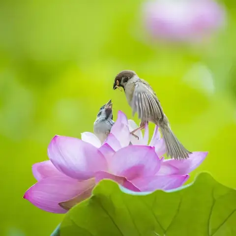 “暑”光熠熠☀️“夏”也精彩🌈——黄冈市启黄中学九（6）班暑期剪影（二十六）
