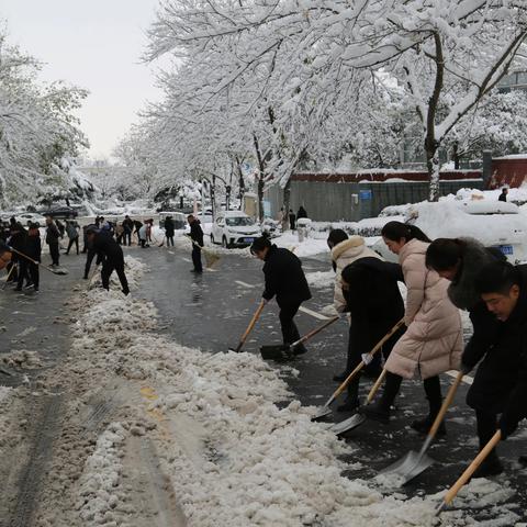 最美水利勇担当，清理积雪路畅通——巩义市水利局开展除雪志愿活动