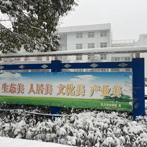 【清冰雪 保畅通】巩义市水利局开展除雪铲冰志愿服务活动