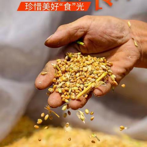 【高新教育】西安市高新区第三十六幼儿园——世界粮食日