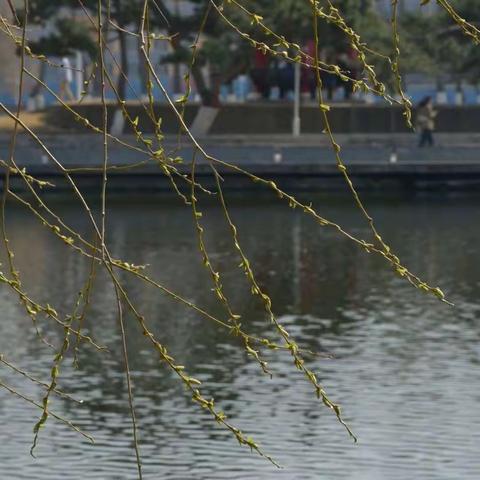 【强镇筑基，我们在行动】新泰市东都镇中心幼儿园大一班一周精彩回顾