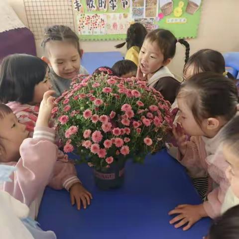 中五班十一月精彩回顾