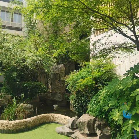 【灵美龙小•江畔】初夏不负校园美景