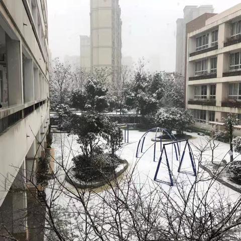 【灵美龙小•江畔】邂逅雪景，定格瞬间—龙潭中心小学江畔人家分校校园雪景