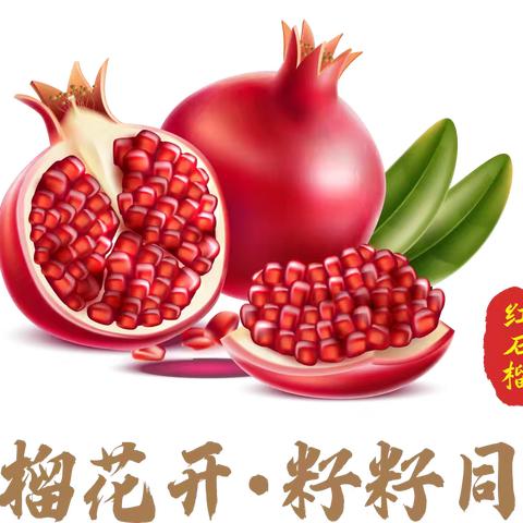 铸牢中华民族共同体意识系列活动（八）一纸一剪传文脉 民族团结润童心——辽宁省2025年中小学铸牢中华民族共同体意识大讲堂走进合隆乡中心小学