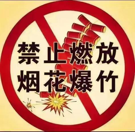 禁燃烟花爆竹 守护蓝天净土——张卜庙西小学开展禁燃烟花爆竹主题教育活动纪实