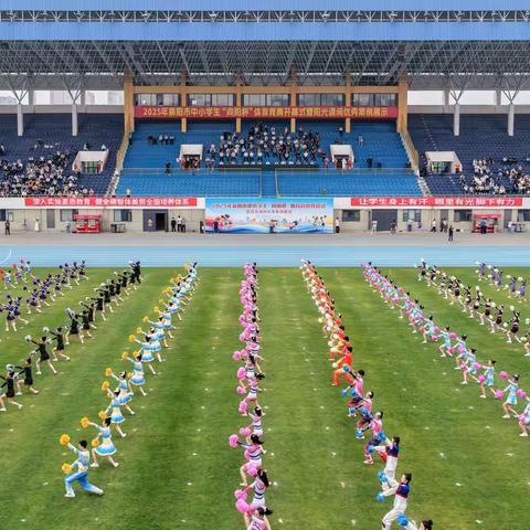 燃动青春！我校在2025年襄阳市“向阳杯”中学生运动会斩获佳绩