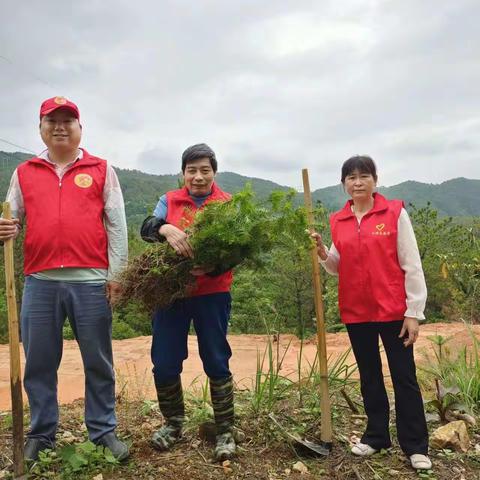 义务植树，做森林的绿色守护者