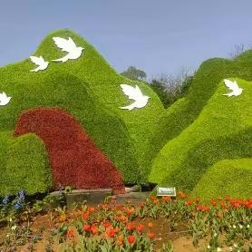 共沐花海  同乐其中 ——右卫旅游团沈阳植物园+北陵公园一日游剪影