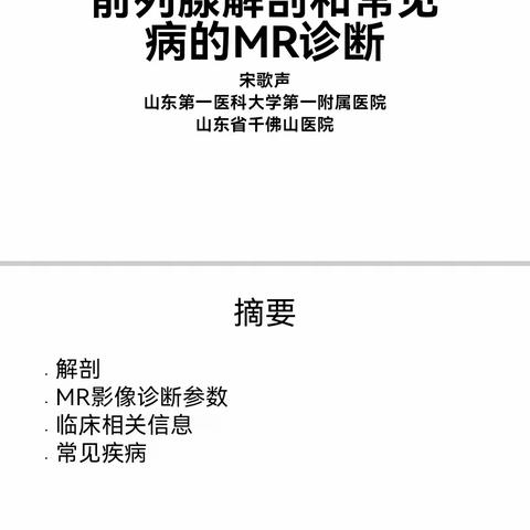 MRI的临床应用系列7-前列腺解剖及常见病的MRI诊断