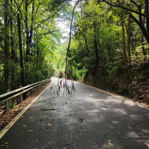 清理道路障碍