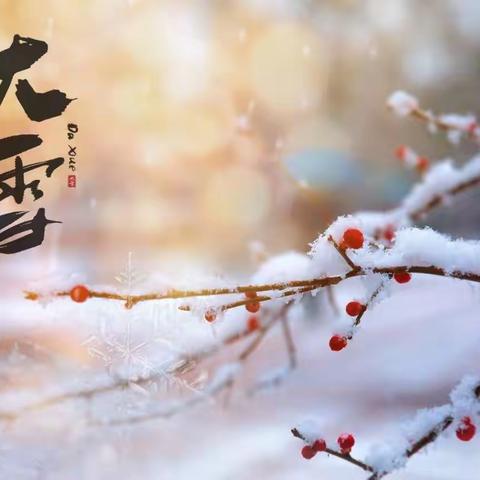 落叶纷飞大雪至，又是一年寒冬始