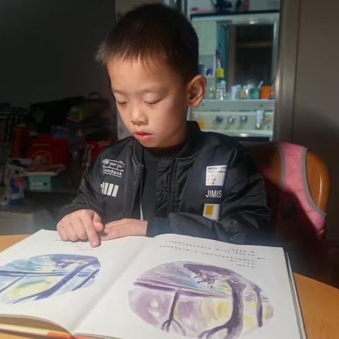 【智慧阅读 点亮人生】洋县实验魅力小学，星耀班薛益卓亲子阅读第37期