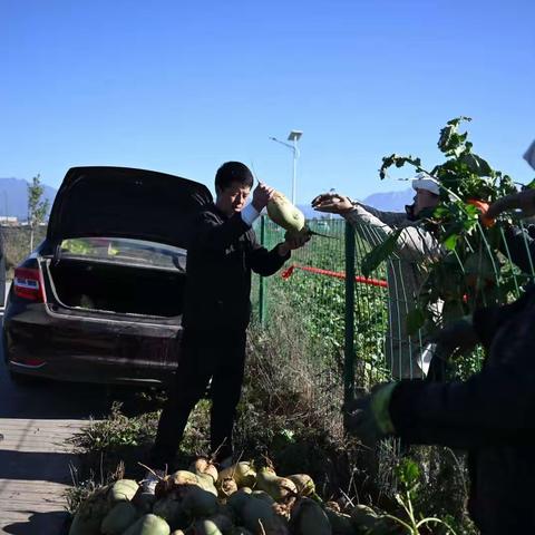 未央区政府主要领导到蓝田县调研指导定点帮扶工作