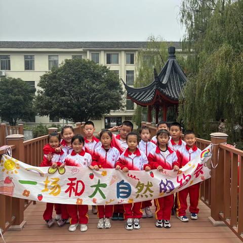 寻秋记——崇明小学一（2）班2023.11.04