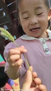 《李营幼儿园》今日记录宝宝的美好瞬间🤗