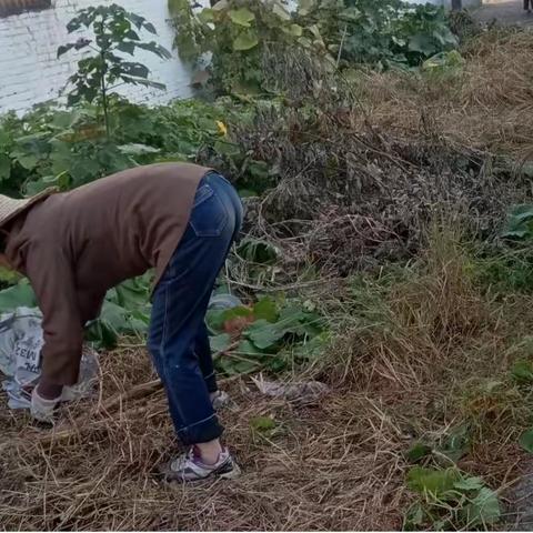方巷镇黄珏社区：环境勤整治 家园换新颜