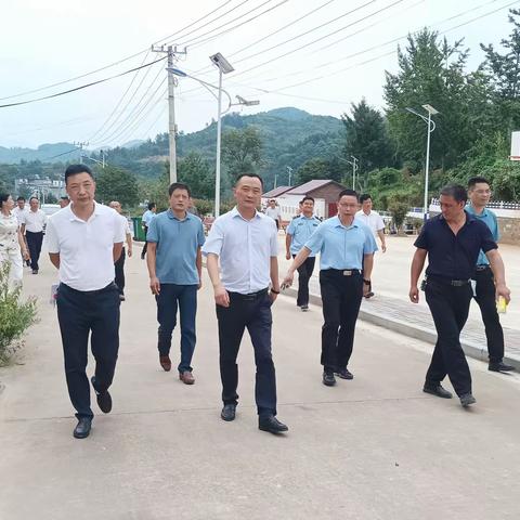 现场观摩看成效 示范引领促提升——长竹园乡开展乡村振兴示范引领村观摩活动