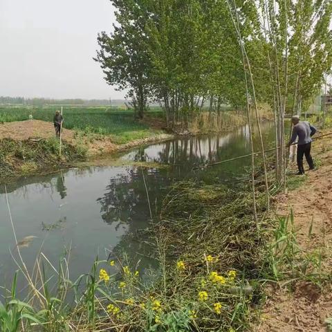 【新时代文明实践 铜山在行动】姜站村开展河道清理工作