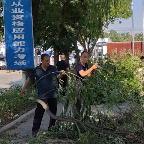 紧盯隐患清除 筑牢安全屏障 ——浍南生产区管理服务中心开展树木修剪工作