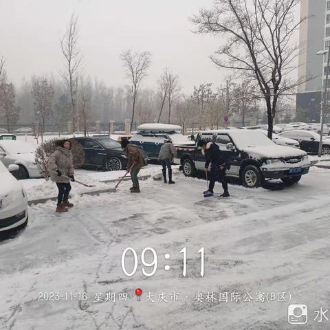 【西宾街道奥林二社区】深化能力作风建设｜下雪是景，除雪是晴