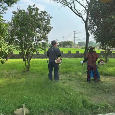 强化人居环境整治  擦亮乡村振兴底色