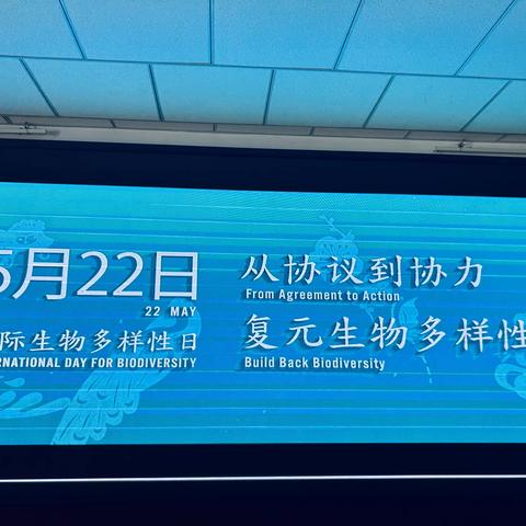 恰库尔图镇中心幼儿园“生物多样性日”宣传活动