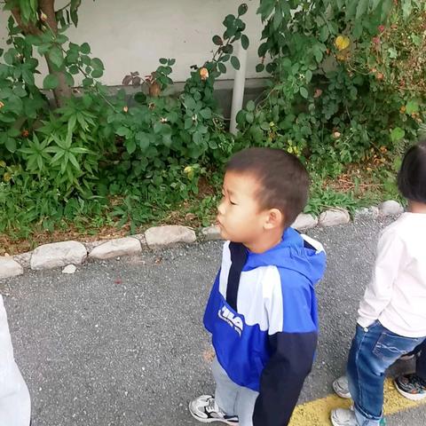 亲近自然，寻找颜色 镇东中心幼儿园小班教育活动