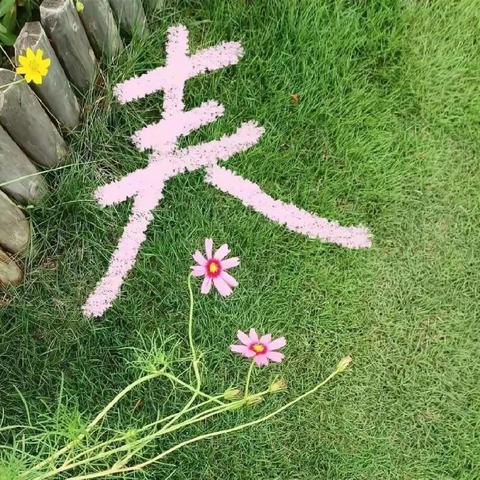 春日好时光，一起“趣”春游 --玉兴小学2001班春游活动