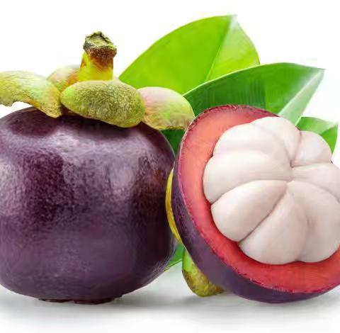 用眼观察，用心写作 三一班优秀作文