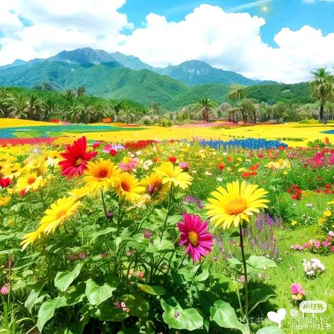 妙笔生花写美景 三年级12月份优秀作文