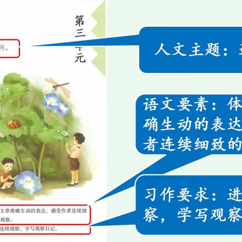 【项目化学习】连续细致观察 探索自然奥秘——四年级项目化学习活动