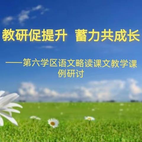 教研促提升，蓄力共成长——示范区第六学区语文略读课文教学课例研讨活动（一）
