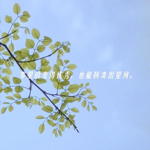 静水流深处，研学越深海———嘉祥县实验小学教育集团2025年暑期骨干教师培训开班第一天纪实