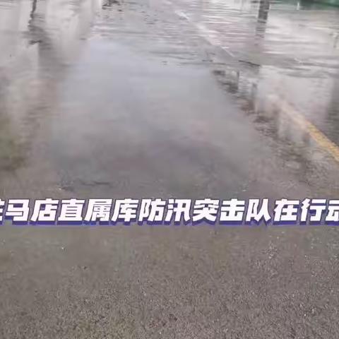 织密汛期“防护网”  逆水而行保粮安