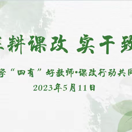 深耕课改   实干致远——三棵树小学“四有”好教师•课改行动共同体研讨活动