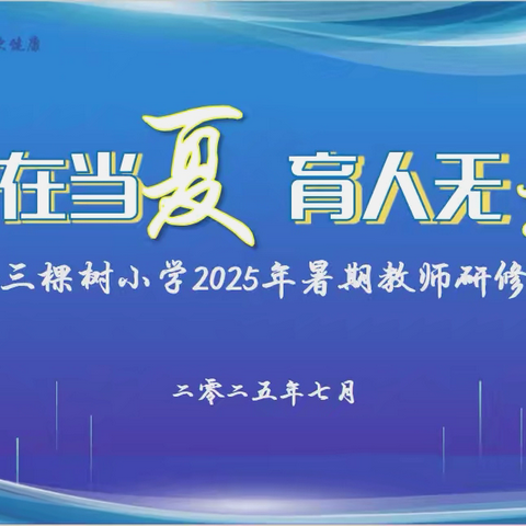 2025年全区小学数学教材暑期培训活动