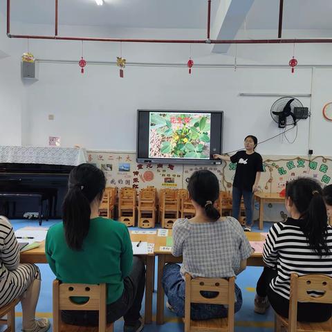 屯昌县南坤镇中坤幼儿园小课题《幼儿园大班花生种植劳动课程的实践研究》之大班科学活动：《花生地里除草》 二研